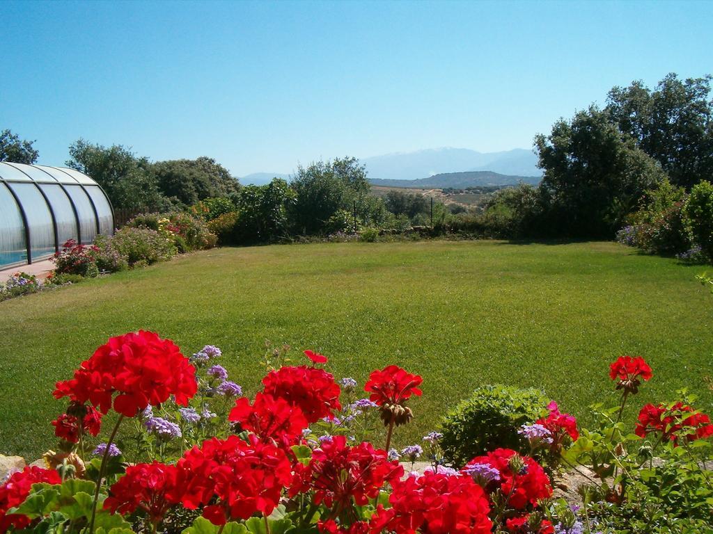 Apartamentos El Jardín del Poeta Guijo de Granadilla Exterior foto